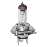 60/55W H4 Halogen Headlight Bulb